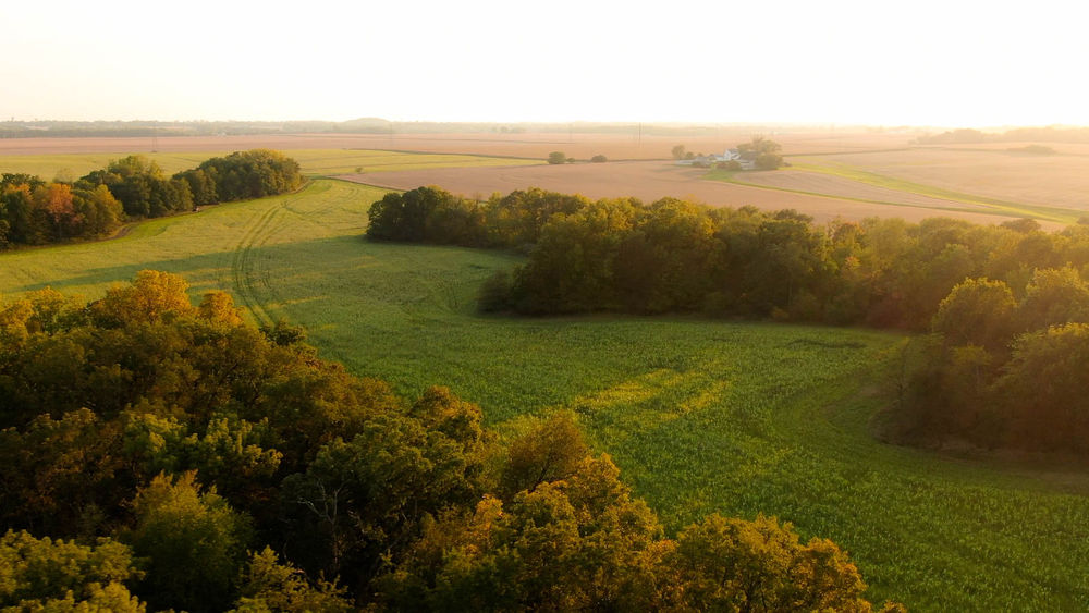 146 acres for sale in Putnam County, Illinois