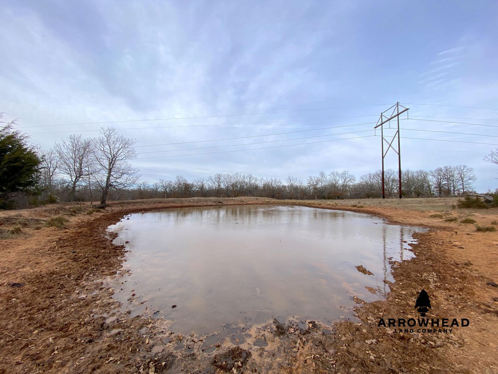 Incredible Grazing and Hunting