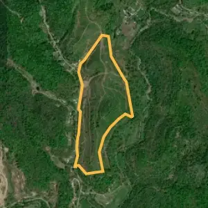 Land map 1