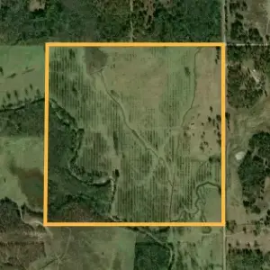 Land map 1