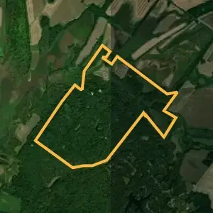 Land map 1